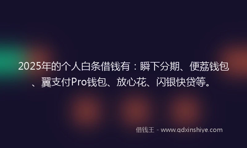2025年的个人白条借钱有：瞬下分期、便荔钱包、翼支付Pro钱包、放心花、闪银快贷等。