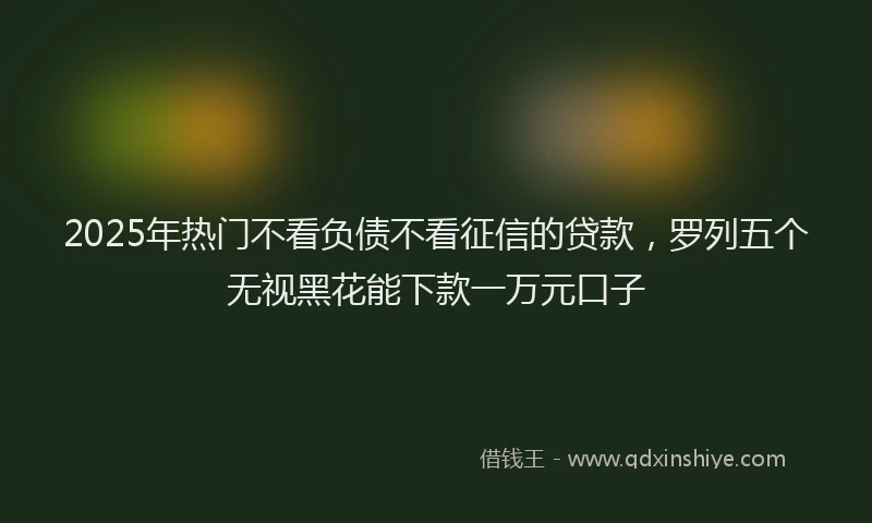 2025年热门不看负债不看征信的贷款，罗列五个无视黑花能下款一万元口子