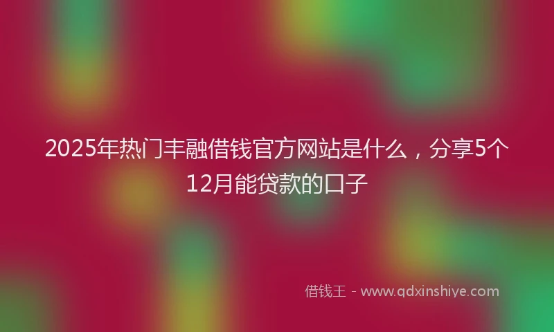 2025年热门丰融借钱官方网站是什么，分享5个12月能贷款的口子