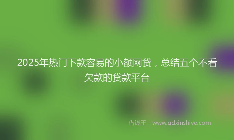 2025年热门下款容易的小额网贷，总结五个不看欠款的贷款平台