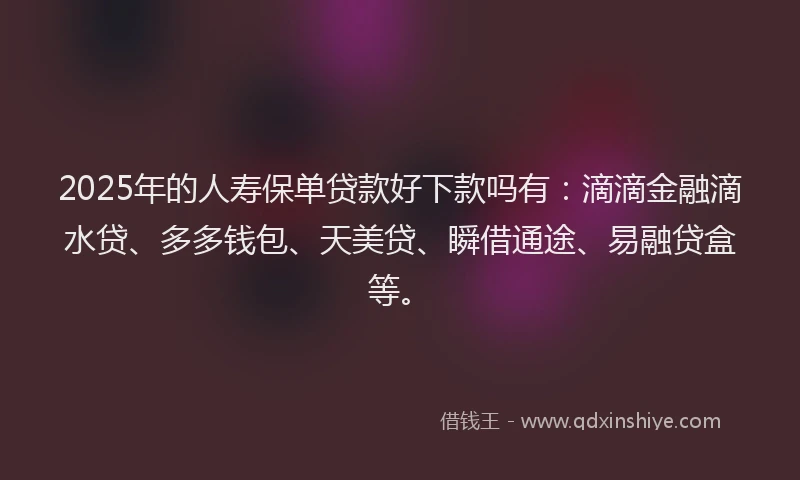 2025年的人寿保单贷款好下款吗有：滴滴金融滴水贷、多多钱包、天美贷、瞬借通途、易融贷盒等。