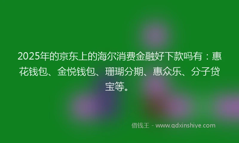 2025年的京东上的海尔消费金融好下款吗有：惠花钱包、金悦钱包、珊瑚分期、惠众乐、分子贷宝等。