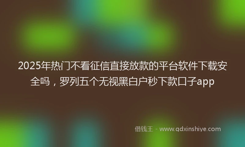 2025年热门不看征信直接放款的平台软件下载安全吗，罗列五个无视黑白户秒下款口子app