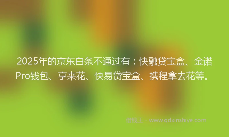 2025年的京东白条不通过有：快融贷宝盒、金诺Pro钱包、享来花、快易贷宝盒、携程拿去花等。