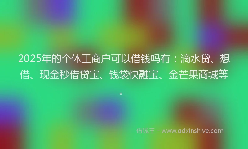 2025年的个体工商户可以借钱吗有：滴水贷、想借、现金秒借贷宝、钱袋快融宝、金芒果商城等。