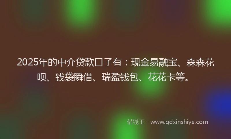 2025年的中介贷款口子有：现金易融宝、森森花呗、钱袋瞬借、瑞盈钱包、花花卡等。