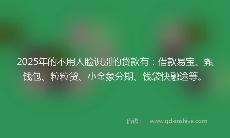 2025年的不用人脸识别的贷款有：借款易宝、甄钱包、粒粒贷、小金象分期、钱袋快融途等。