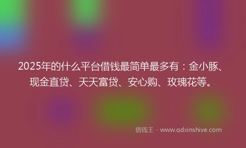 2025年的什么平台借钱最简单最多有：金小豚、现金直贷、天天富贷、安心购、玫瑰花等。