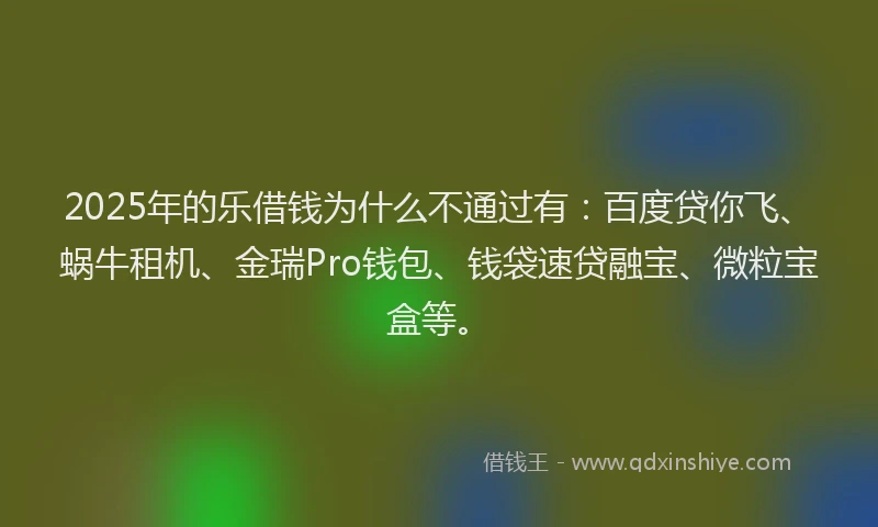 2025年的乐借钱为什么不通过有：百度贷你飞、蜗牛租机、金瑞Pro钱包、钱袋速贷融宝、微粒宝盒等。