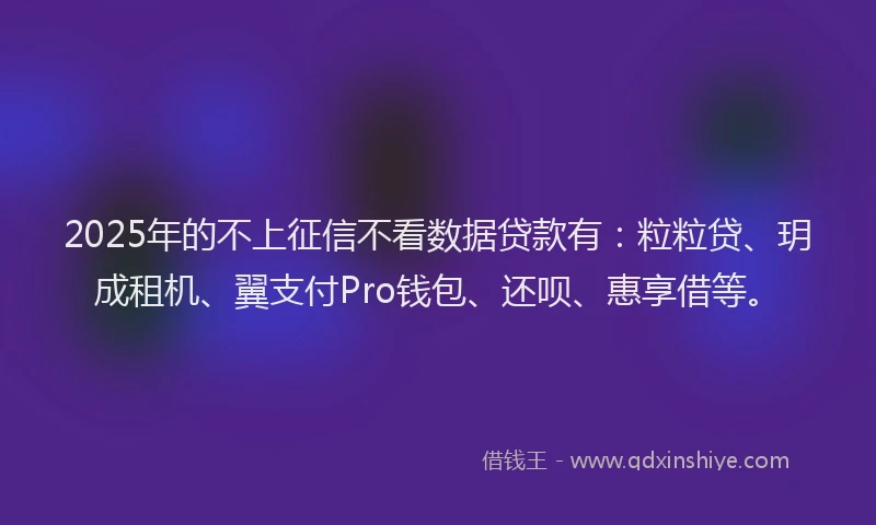 2025年的不上征信不看数据贷款有：粒粒贷、玥成租机、翼支付Pro钱包、还呗、惠享借等。