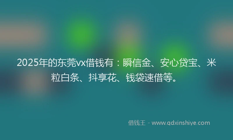 2025年的东莞vx借钱有：瞬信金、安心贷宝、米粒白条、抖享花、钱袋速借等。