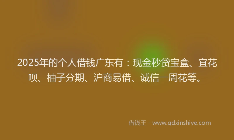 2025年的个人借钱广东有：现金秒贷宝盒、宜花呗、柚子分期、沪商易借、诚信一周花等。