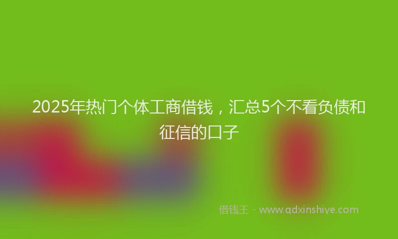 2025年热门个体工商借钱，汇总5个不看负债和征信的口子