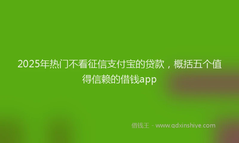 2025年热门不看征信支付宝的贷款，概括五个值得信赖的借钱app