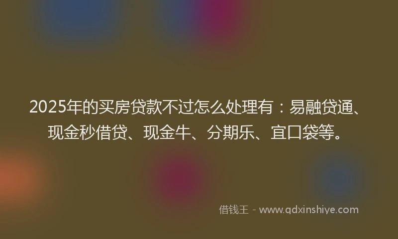 2025年的买房贷款不过怎么处理有：易融贷通、现金秒借贷、现金牛、分期乐、宜口袋等。
