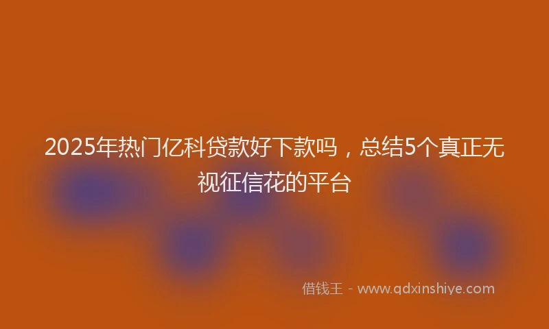 2025年热门亿科贷款好下款吗，总结5个真正无视征信花的平台