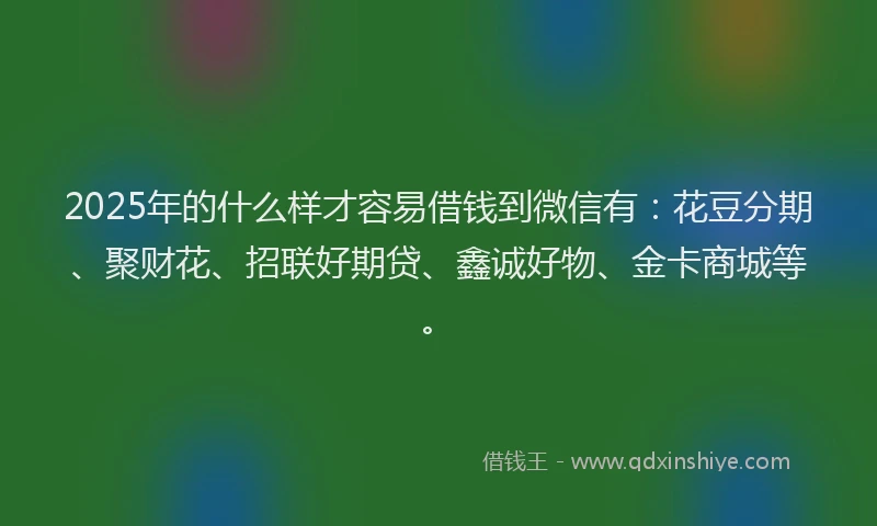 2025年的什么样才容易借钱到微信有：花豆分期、聚财花、招联好期贷、鑫诚好物、金卡商城等。