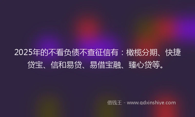 2025年的不看负债不查征信有：橄榄分期、快捷贷宝、信和易贷、易借宝融、臻心贷等。