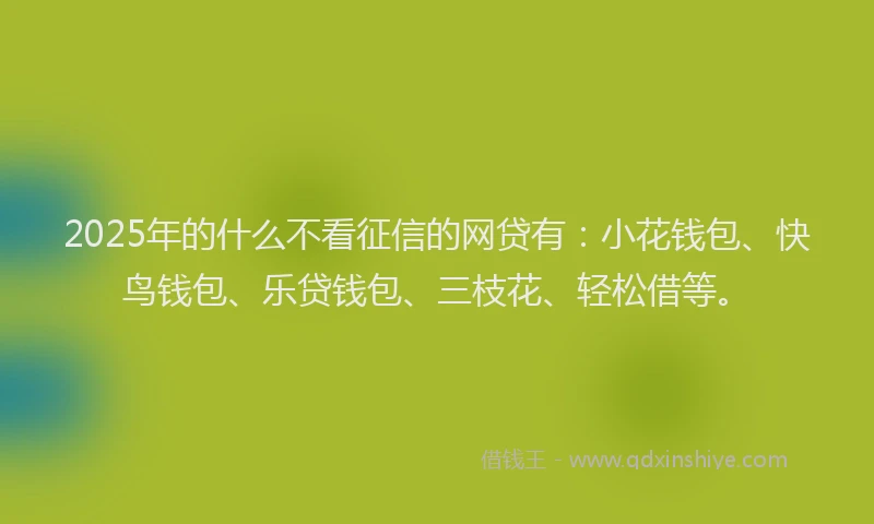 2025年的什么不看征信的网贷有：小花钱包、快鸟钱包、乐贷钱包、三枝花、轻松借等。