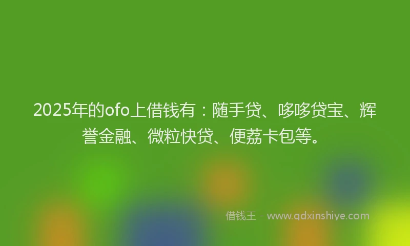 2025年的ofo上借钱有：随手贷、哆哆贷宝、辉誉金融、微粒快贷、便荔卡包等。