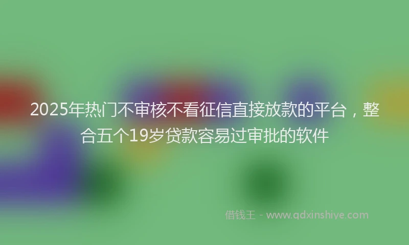 2025年热门不审核不看征信直接放款的平台，整合五个19岁贷款容易过审批的软件