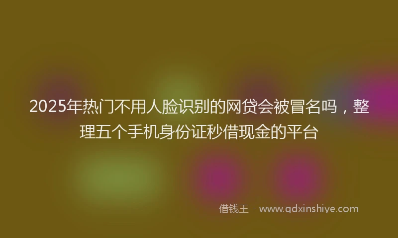2025年热门不用人脸识别的网贷会被冒名吗，整理五个手机身份证秒借现金的平台