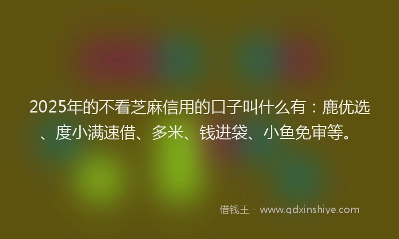 2025年的不看芝麻信用的口子叫什么有：鹿优选、度小满速借、多米、钱进袋、小鱼免审等。