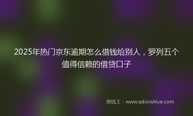 2025年热门京东逾期怎么借钱给别人，罗列五个值得信赖的借贷口子