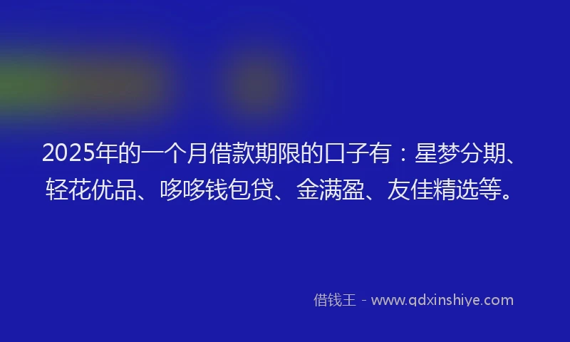 2025年的一个月借款期限的口子有：星梦分期、轻花优品、哆哆钱包贷、金满盈、友佳精选等。