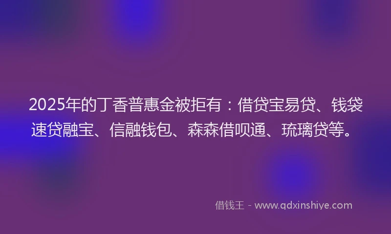 2025年的丁香普惠金被拒有：借贷宝易贷、钱袋速贷融宝、信融钱包、森森借呗通、琉璃贷等。