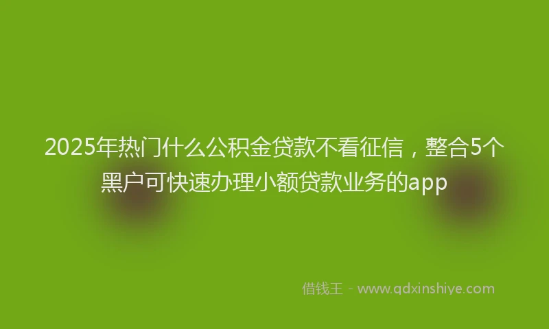 2025年热门什么公积金贷款不看征信，整合5个黑户可快速办理小额贷款业务的app