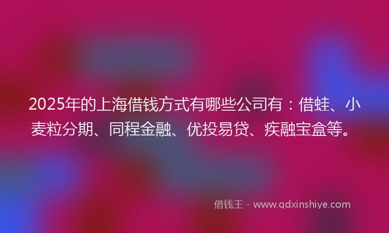 2025年的上海借钱方式有哪些公司有：借蛙、小麦粒分期、同程金融、优投易贷、疾融宝盒等。