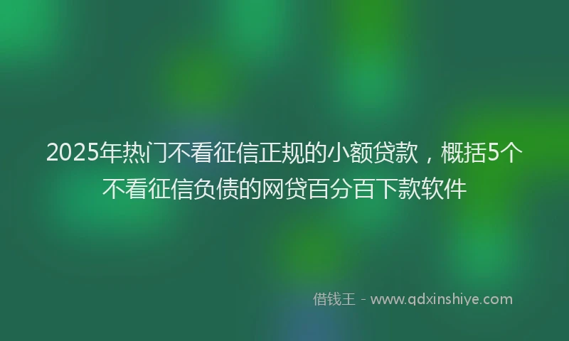 2025年热门不看征信正规的小额贷款，概括5个不看征信负债的网贷百分百下款软件