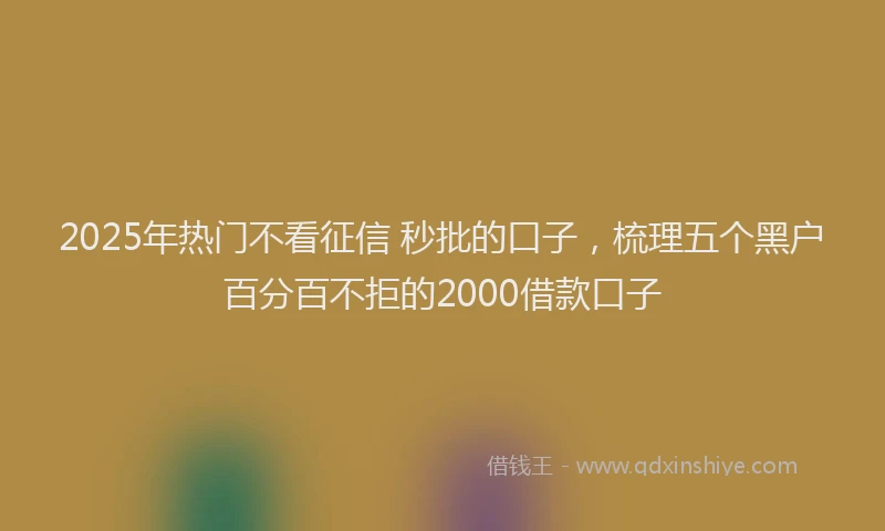 2025年热门不看征信 秒批的口子，梳理五个黑户百分百不拒的2000借款口子