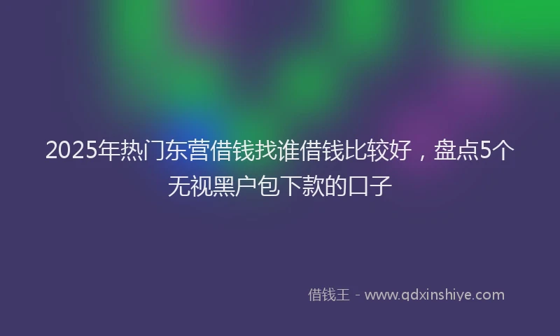 2025年热门东营借钱找谁借钱比较好，盘点5个无视黑户包下款的口子