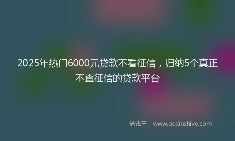 2025年热门6000元贷款不看征信，归纳5个真正不查征信的贷款平台