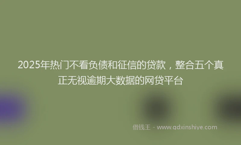 2025年热门不看负债和征信的贷款，整合五个真正无视逾期大数据的网贷平台