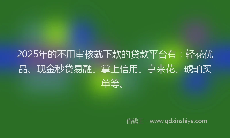 2025年的不用审核就下款的贷款平台有：轻花优品、现金秒贷易融、掌上信用、享来花、琥珀买单等。