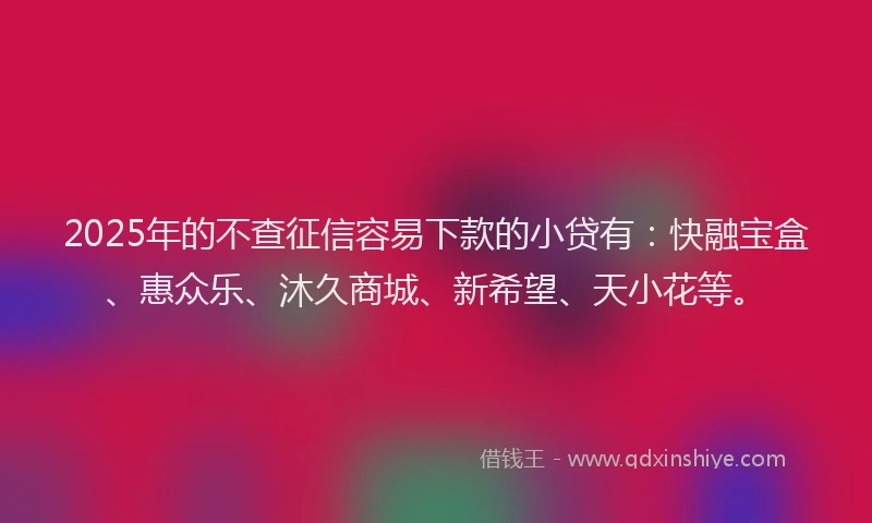 2025年的不查征信容易下款的小贷有：快融宝盒、惠众乐、沐久商城、新希望、天小花等。