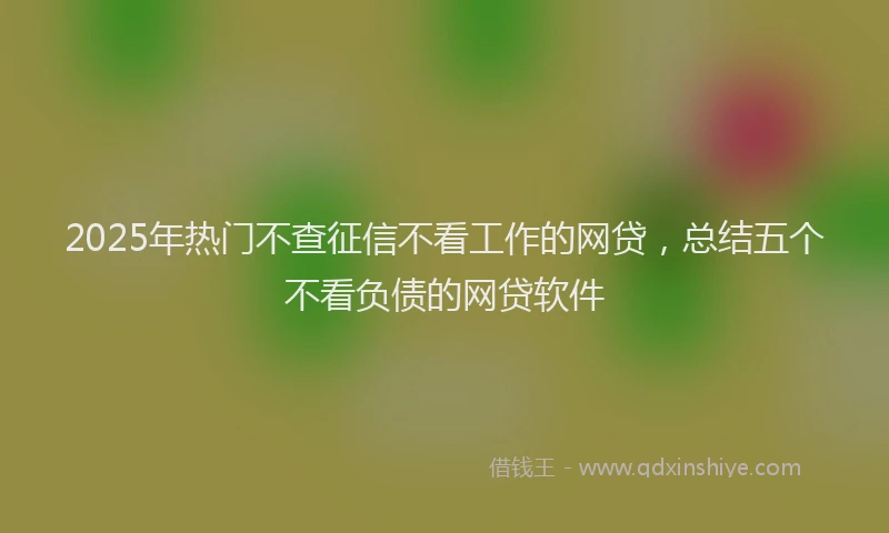 2025年热门不查征信不看工作的网贷，总结五个不看负债的网贷软件