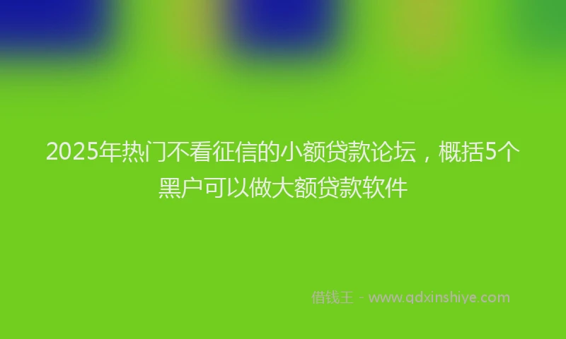 2025年热门不看征信的小额贷款论坛，概括5个黑户可以做大额贷款软件