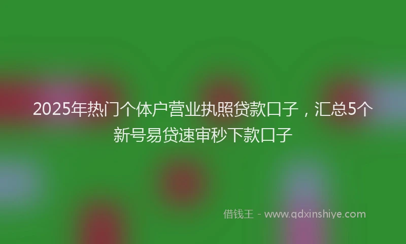 2025年热门个体户营业执照贷款口子，汇总5个新号易贷速审秒下款口子