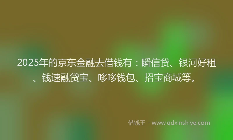 2025年的京东金融去借钱有：瞬信贷、银河好租、钱速融贷宝、哆哆钱包、招宝商城等。