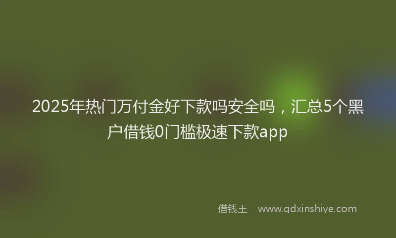 2025年热门万付金好下款吗安全吗，汇总5个黑户借钱0门槛极速下款app