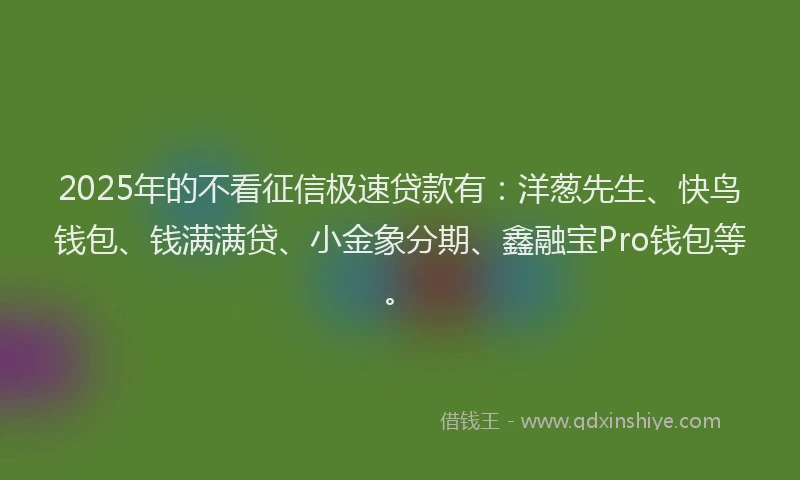 2025年的不看征信极速贷款有：洋葱先生、快鸟钱包、钱满满贷、小金象分期、鑫融宝Pro钱包等。