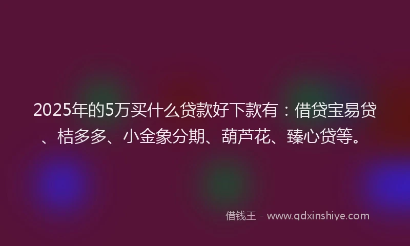 2025年的5万买什么贷款好下款有：借贷宝易贷、桔多多、小金象分期、葫芦花、臻心贷等。