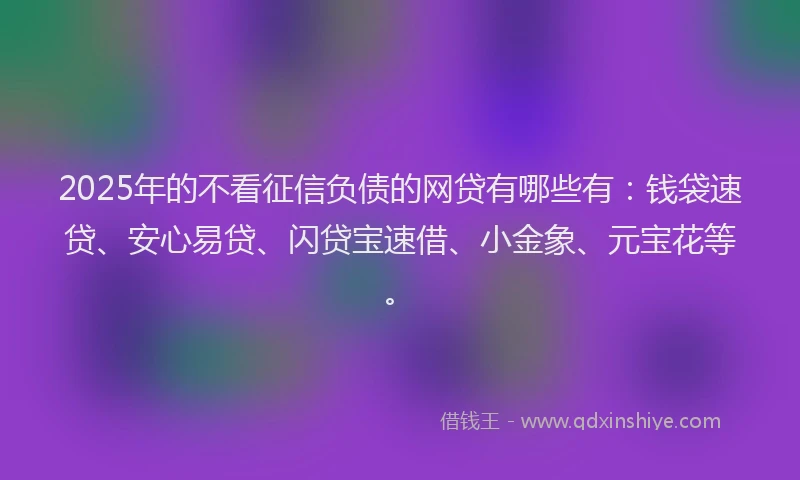 2025年的不看征信负债的网贷有哪些有：钱袋速贷、安心易贷、闪贷宝速借、小金象、元宝花等。