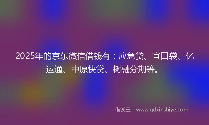 2025年的京东微信借钱有：应急贷、宜口袋、亿运通、中原快贷、树融分期等。