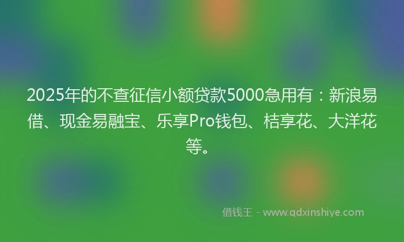 2025年的不查征信小额贷款5000急用有：新浪易借、现金易融宝、乐享Pro钱包、桔享花、大洋花等。