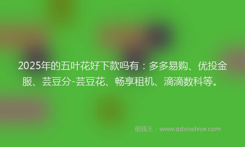 2025年的五叶花好下款吗有：多多易购、优投金服、芸豆分-芸豆花、畅享租机、滴滴数科等。